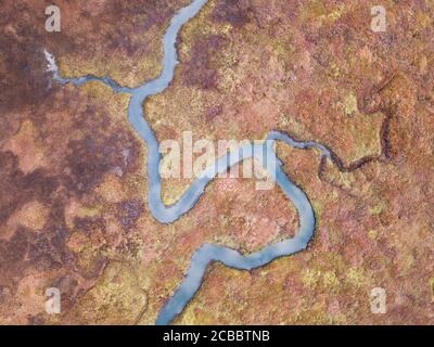 Meander - Los Osos Creek arbeitet seinen Weg in Richtung Morro Bay, wie von oben gesehen. Los Osos, Kalifornien, USA Stockfoto