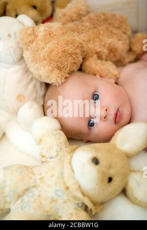 Kindheit und Unschuld Konzept. Neugeborenes Kleinkind mit blauen Augen und überraschendem Gesicht umgeben von Stoffspielzeug. Baby liegt bei seinem beigen Hasen. Baby Junge mit weichen Spielzeug, Nahaufnahme Stockfoto