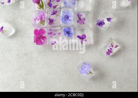 Florale Eiswürfel auf grauem Hintergrund, Draufsicht. Essbare Blüten in Eiswürfeln gefroren. Horizontal mit Platz für Text. Stockfoto