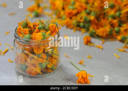 Calendula officinalis blüht im Glas auf grauem Grund. Stockfoto