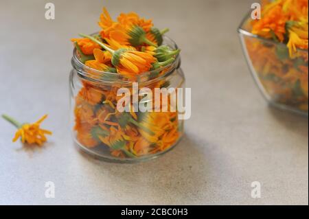 Calendula oder Ringelblumen im Glas auf dem grauen Hintergrund. Vorbereitung Blumen zum Trocknen. Selektiver Fokus, horizontal. Stockfoto