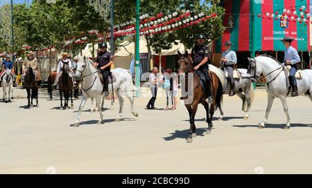 Lokale Polizisten zu Pferd in Granada, Spanien; Aufrechterhaltung des Friedens Patrouille der Feierlichkeiten auf der Corpus Christi Messe 2019; Feria del Corpus. Stockfoto