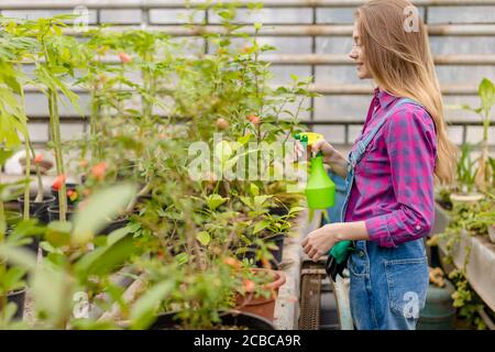 Gut aussehende blonde Frau kümmert sich um exotische Pflanzen. Nahaufnahme Seitenansicht Foto. Freizeit. Stockfoto