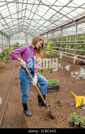 Junge schöne Frau Neupflanzen Blumen im Gewächshaus. Volle Länge Seitenansicht Foto. Stockfoto