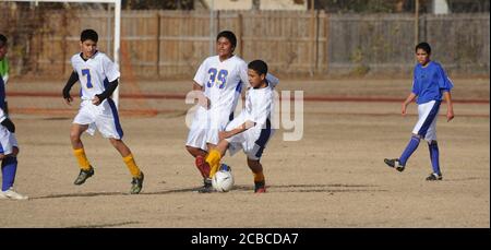 Austin, Texas, USA, 15. Dezember 2008: Fußball-Matchup zwischen Mannschaften der Martin Middle School (weiß) gegen Webb Middle School (blau) in der City League am Samstag. Die meisten Spieler sind hispanisch-amerikanische Jungen in der siebten und achten Klasse. ©Bob Daemmrich Stockfoto