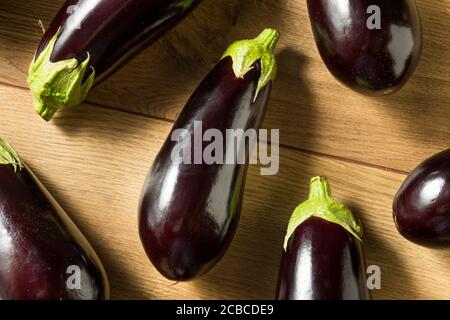 RAW Purple Organic Auberginen in einem Bündel Stockfoto