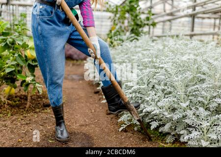 Junge Gärtnerin mit einer Schaufel, um Blumen zu Pflanzen. Nahaufnahme abgeschnitten Foto. Lifestyle, Landleben Stockfoto