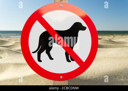 Kein Hundeschild an einem Sandstrand. Keine Haustiere erlaubt Zeichen zum Schwimmen wie im Sommer Strand. Stockfoto