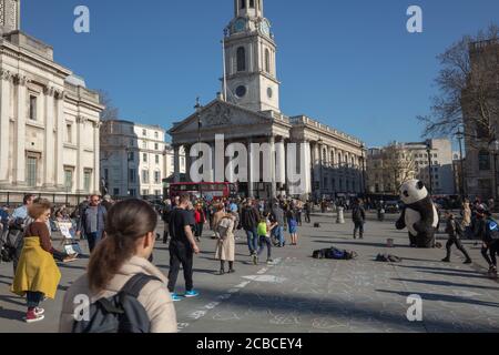 Farbbild der North Terrace des Trafalgar Square London, vor der National Gallery und Gesamtansicht nach St. Martin in den Feldern. Stockfoto