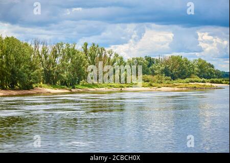 Ein Auenwald am Flussufer in den Auen der Elbe Stockfoto