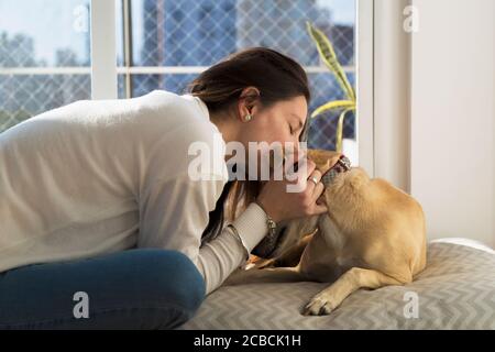 Junge Frau küsst ihren Hund an. Mädchen drinnen zu Hause mit ihrem Hund. Stockfoto