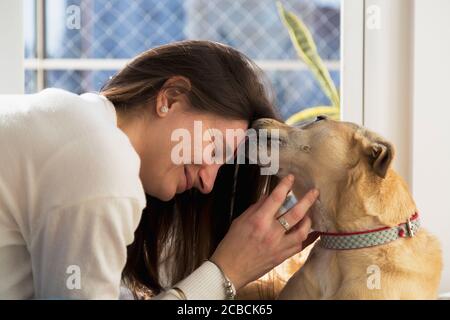 Junge Frau wird von ihrem Hund geküsst. Mädchen zu Hause mit ihrem Hund. Stockfoto