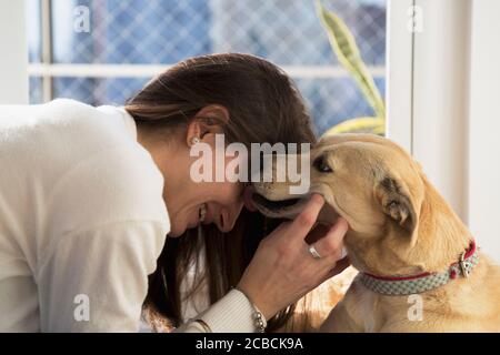 Junge Frau wird von ihrem Hund geküsst. Mädchen zu Hause mit ihrem Hund. Stockfoto