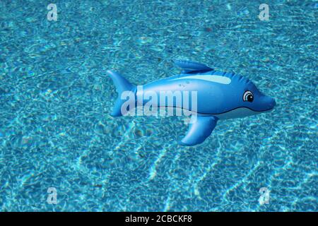 Blaues Poolwasser mit einem Plastikdelfin-Poolspielzeug Stockfoto