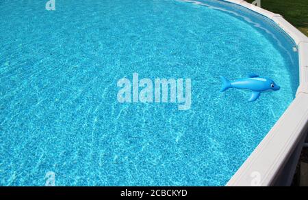 Blaues Poolwasser mit einem Plastikdelfin-Poolspielzeug Stockfoto