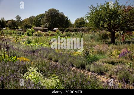 Ham House and Gardens, Richmond, London, Großbritannien Stockfoto