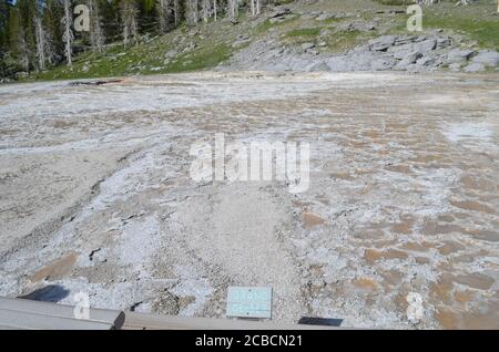 YELLOWSTONE NATIONAL PARK, WYOMING - 8. JUNI 2017: Grand Geyser Complex im Upper Geyser Basin Stockfoto