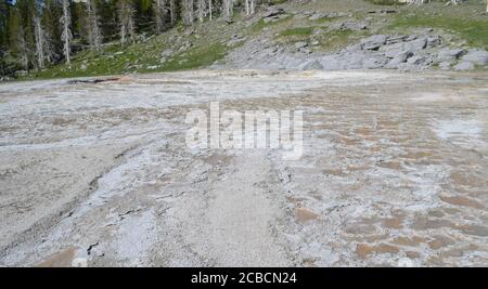 Spätfrühling im Yellowstone National Park: Grand Geyser, Turban Geyser und Vent Geyser des Grand Geyser Complex im Upper Geyser Basin Stockfoto