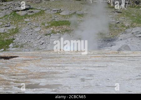 Spätfrühling im Yellowstone Nationalpark: Turban Geysir des Grand Geyser Komplexes, der im Upper Geyser Basin ausbricht Stockfoto