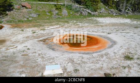 YELLOWSTONE NATIONAL PARK, WYOMING - 8. JUNI 2017: Wirtschaftlicher Geysir der Grand Group im Upper Geyser Basin Stockfoto