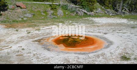 Spätfrühling im Yellowstone National Park: Lebhaft gefärbter Wirtschaftsgeysir der Grand Group im Upper Geyser Basin Stockfoto