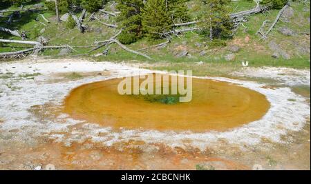 Spätfrühling im Yellowstone National Park: Wellenfrühling der Grand Group im Upper Geyser Basin Stockfoto