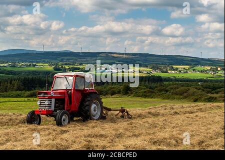 Drinagh, West Cork, Irland. August 2020. Der Trinagh-Bauer George Wilson verwendet einen Massey Ferguson 168 aus den 70er Jahren und einen Heubob aus den 70er Jahren, um das geschnittene Heu zu flauschen und die Schwade zu verengen, bevor das Heu gepresst wird. Quelle: AG News/Alamy Live News Stockfoto