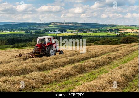 Drinagh, West Cork, Irland. August 2020. Der Trinagh-Bauer George Wilson verwendet einen Massey Ferguson 168 aus den 70er Jahren und einen Heubob aus den 70er Jahren, um das geschnittene Heu zu flauschen und die Schwade zu verengen, bevor das Heu gepresst wird. Quelle: AG News/Alamy Live News Stockfoto