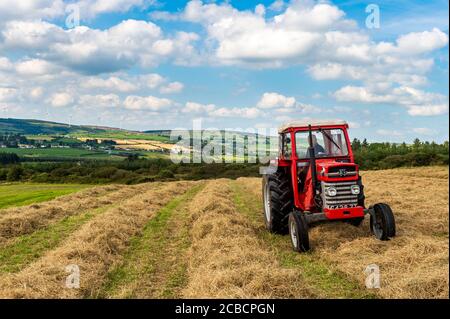 Drinagh, West Cork, Irland. August 2020. Der Trinagh-Bauer George Wilson verwendet einen Massey Ferguson 168 aus den 70er Jahren und einen Heubob aus den 70er Jahren, um das geschnittene Heu zu flauschen und die Schwade zu verengen, bevor das Heu gepresst wird. Quelle: AG News/Alamy Live News Stockfoto