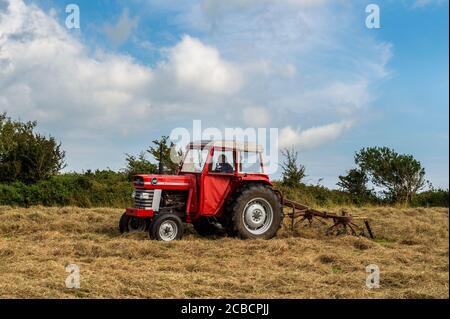 Drinagh, West Cork, Irland. August 2020. Der Trinagh-Bauer George Wilson verwendet einen Massey Ferguson 168 aus den 70er Jahren und einen Heubob aus den 70er Jahren, um das geschnittene Heu zu flauschen und die Schwade zu verengen, bevor das Heu gepresst wird. Quelle: AG News/Alamy Live News Stockfoto