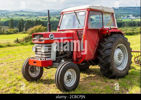 Drinagh, West Cork, Irland. August 2020. Der Trinagh-Bauer George Wilson verwendet einen Massey Ferguson 168 aus den 70er Jahren und einen Heubob aus den 70er Jahren, um das geschnittene Heu zu flauschen und die Schwade zu verengen, bevor das Heu gepresst wird. Quelle: AG News/Alamy Live News Stockfoto