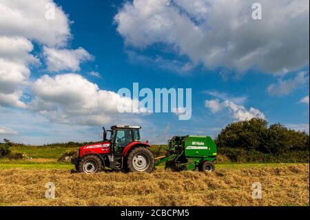 Drinagh, West Cork, Irland. August 2020. Evan Wilson ballt Heu auf der Drinagh Farm von George Wilson mit einer Massey Ferguson 6475 und McHale F550 Ballenpresse. Quelle: AG News/Alamy Live News Stockfoto