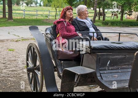 Ein Paar mittleren Alters sitzt in einer Pferdekutsche und wartet auf ihre Fahrt. Stockfoto