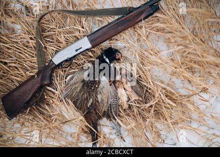 Arme getöteten Vogel und eine Waffe auf dem Schnee. Nahaufnahme Draufsicht Schuss. Grausamkeit und Gewalt Konzept Stockfoto