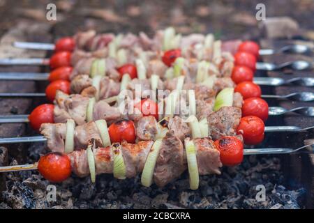 Der Kebab wird auf dem Grill gegart. Saftiges Fleisch auf Holzkohle. Hochwertige Fotos Stockfoto
