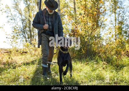 Älterer Mann auf der Jagd mit seinem Hund im Wald, sonniges Wetter, auf der Suche nach Trophäe Stockfoto