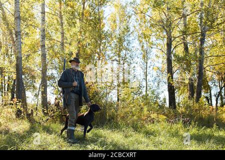 Älterer Mann auf der Jagd mit seinem Hund im Wald, sonniges Wetter, auf der Suche nach Trophäe Stockfoto