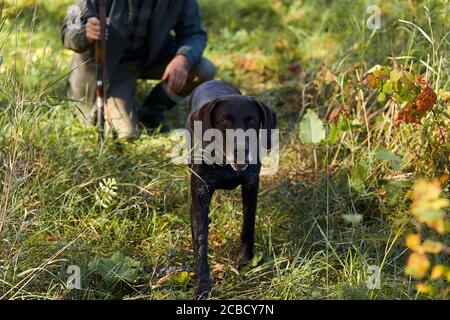 Jagdzeit. Autumjagd mit Hund im Wald. Mann, der auf Gras hinter seinem Hund sitzt Stockfoto