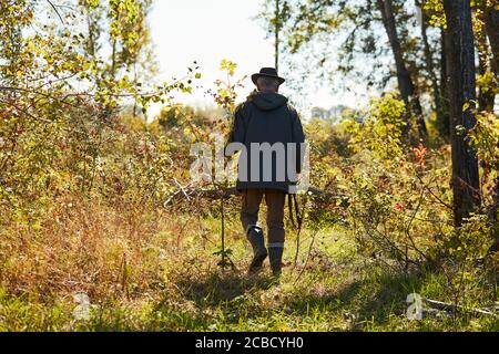 Sonniges Wetter, Herbst. Jäger Mann gehen nach Opfer im Wald suchen. Stockfoto