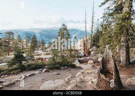 Wanderwege nach Taft Point, Yosemite National Park Stockfoto