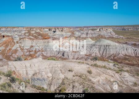 Die Blue Mesa Trail im Petrified Forest National Park, Arizona Stockfoto