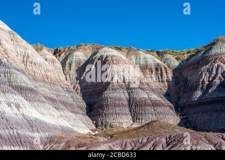 Die Blue Mesa Trail im Petrified Forest National Park, Arizona Stockfoto