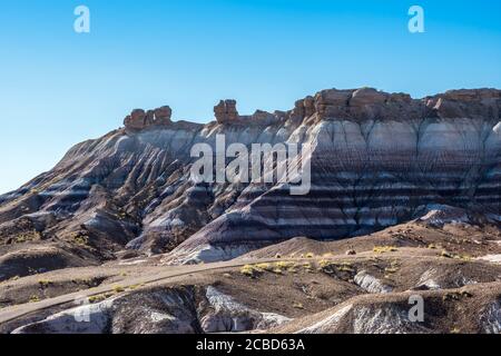 Die Blue Mesa Trail im Petrified Forest National Park, Arizona Stockfoto