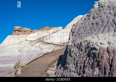 Die Blue Mesa Trail im Petrified Forest National Park, Arizona Stockfoto