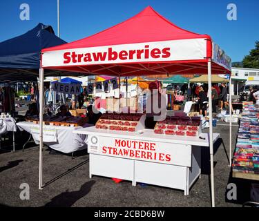 Motueka, Tasman/Neuseeland - 27. Januar 2013: Motueka Sonntagsmarktstand mit frischen Erdbeeren aus der Region. Stockfoto