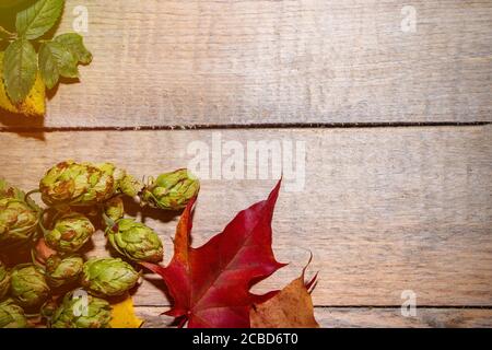 Rahmen aus Pflanzen, Herbstzusammensetzung aus Blättern und Beeren auf hellem Holzhintergrund. Ort für Ihren Text Stockfoto