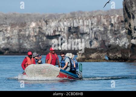 Touristen in Zodiac Boat, in der Nähe von Prince Phillip Steps, Darwin Bay, Isla Genovesa, Galapagos, Ecuador Nov 2017 Stockfoto