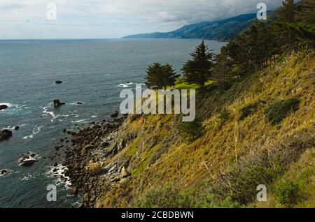 Schönheit des Frühlings an der Küste, Landschaft mit üppiger Vegetation einschließlich Wildblumen, Baum wächst an steilen, bunten Hängen, die in den pazifik führen. Stockfoto