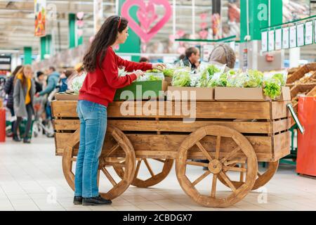 Eine junge Frau wählt frisches Grün auf einem Holzkarren. Im Hintergrund die Supermarkthalle. Das Konzept der Vegetarismus und Bio-Frischprodukte. Stockfoto