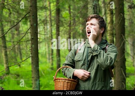 Der Mann verlor seine Frau im Wald beim Wandern und Pilzsammeln. Stockfoto